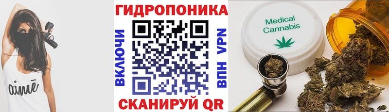 Бошки марихуана конопля Злынка