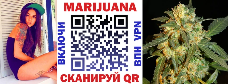 Бошки Шишки планчик  Злынка 